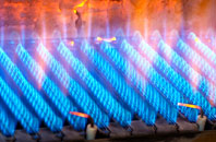 Cwmwysg gas fired boilers